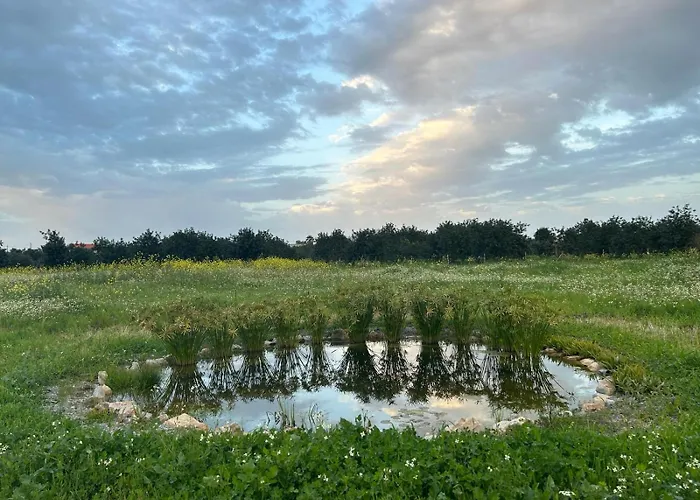 Appartamento Brand New At Yoga Farm With Natural Swimming Pool Near Beach Moncarapacho