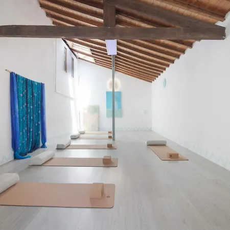 Chameleon Apartment *