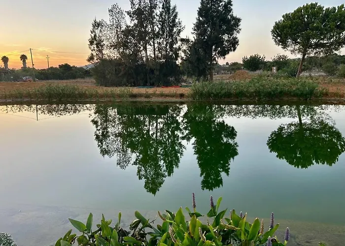 Brand New At Yoga Farm With Natural Swimming Pool Near Beach *